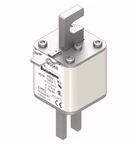 Fus Ur Nh1 250A 690V 170M3066