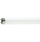 Lâmpada Fluorescente Tubular T8 36 W 6200 K 928048505440 Philips Signify