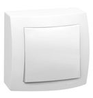Interruptor Sistema X Sobrepor Simples 1 Módulo 675000 Pial Legrand