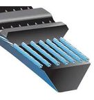 Correia Perfil 8V 22 x 15 mm 8V1320 Gates