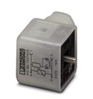 CONECTOR SENSOR M ANG PA 3P SACCV3CONPG9A1LSV240V1