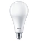 Lâmpada LED Standard LEDBulb A80 22W 6500K 929002428492 Philips Signify