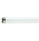 Lâmpada Fluorescente Tubular T8 15 W 4100 K 871150070277700 Philips Signify