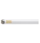 Lâmpada Fluorescente Tubular T10 20 W 5000 K T1020W/75750 Philips Signify