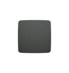 Placa Cega 4X4 Preta Origen N0670.1 NG