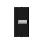 Modulo USB A 1 Modulo 250V 2,4A Preto Origen N0185 NG